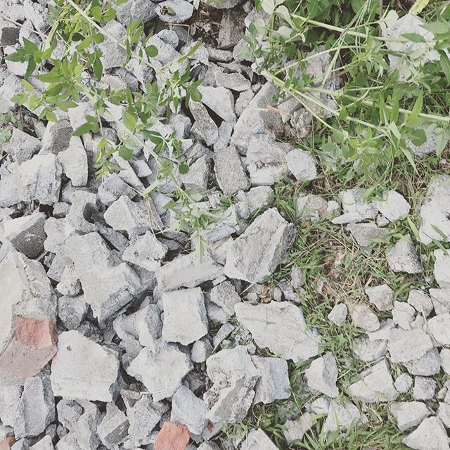 コンクリートブロックを砕いて砕石として再利用。地味だけどハンマーで適度な大きさまで叩きます。#reshimizuura#和歌山 #海南市 #冷水浦 #集落#リノベーション #リノベ #旅する大工#いとうともひさ #PERSIMMONHILLSarchitects# #designと #友渕貴之 #はしもとたくろう #ブロック解体
