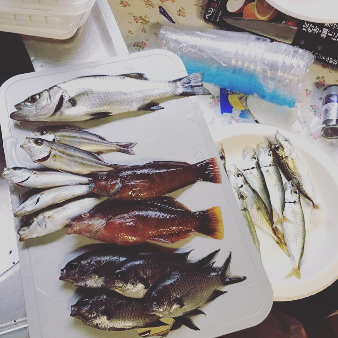 大工見習いすぎもとこうたによる魚料理。釣った魚をすぐに調理。その日に宴会をするのが冷水浦のスタイルです。#和歌山 #海南市 #冷水浦 #リノベーション #リノベ #旅する大工 #いとうともひさ #PersimmonHillsArchitects# #デザインと #すぎもとこうた #しまだひろゆき #工事 #釣り #現場飯 #新メンバー募集中 #釣り部
