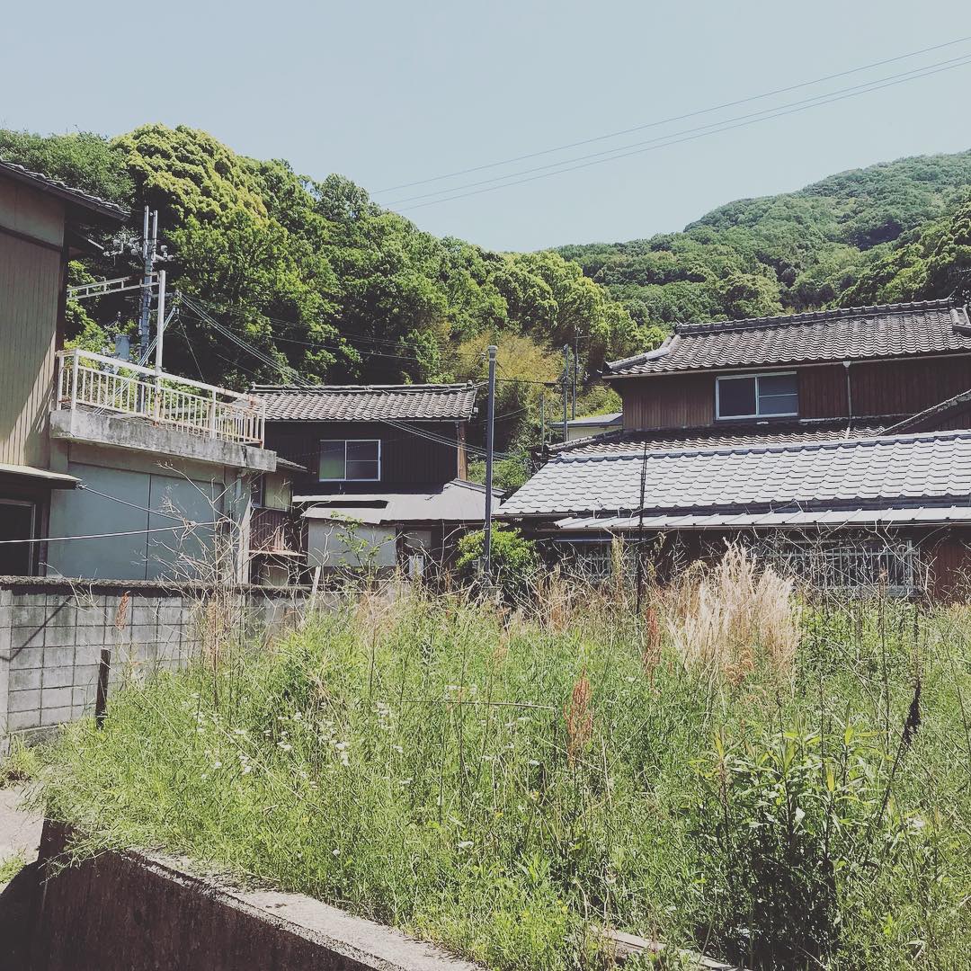 左は母屋。右の平屋は空き家。#reshimizuura #となりの空き家